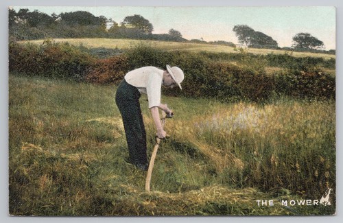 The mower scything - the, farm