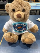 Skegness Model Raceway Teddy