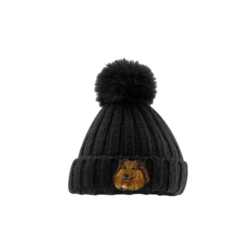 Shetland sheepdog pom - pom,