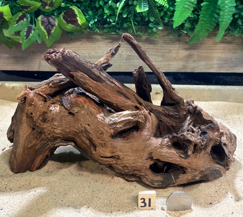 Med large ancient root wood - med/large,