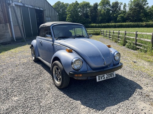 Classic beetle karmann - beetle,
