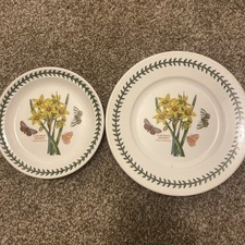 2 Portmeirion Botanic Garden