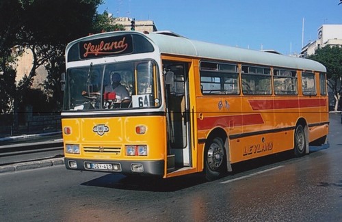 Bus photo photograph orange - bus,