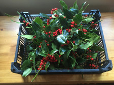 50 fresh freshly cut small