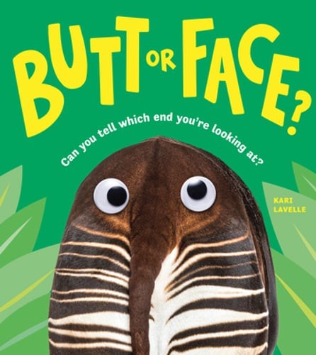 Butt face kari - kari, lavelle