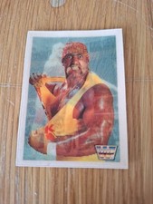 TitanSports 1990 Hulk Hogan