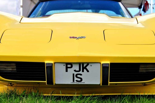Chevrolet corvette stingray - chevrolet,