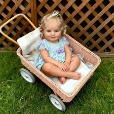 Reborn Baby Dolls Silicone