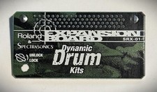 Roland - Expansion - Dynamic
