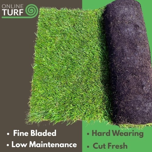 Lawn turf real seeded - turf,