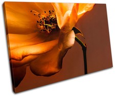 Flowers BOTANICAL Floral