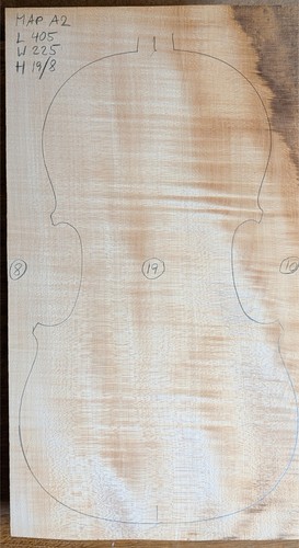 Ma2 violin one piece - one,