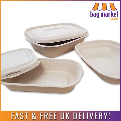 Biodegradable bagasse - biodegradable,