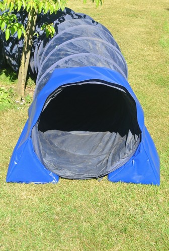 Dog agility training tunnel - dog,