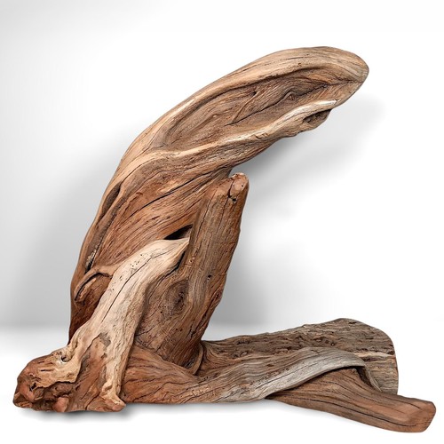 Manzanita driftwood - xl,