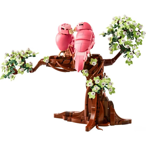 Love birds building - love,