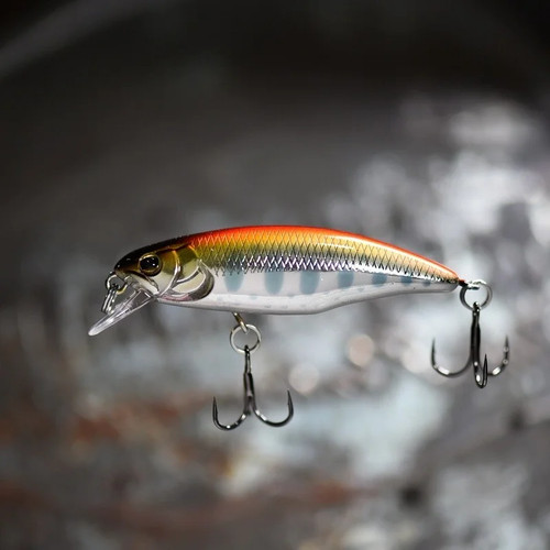 Japan hot model - model, minnow
