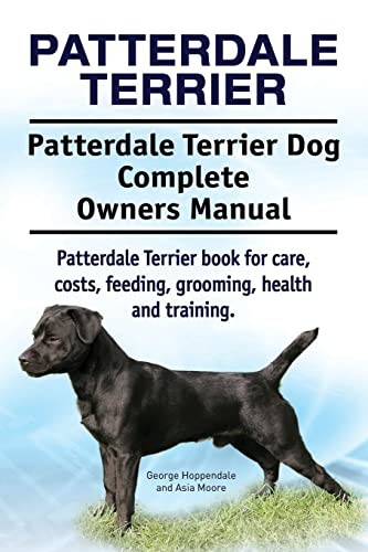 Patterdale terrier - terrier.,