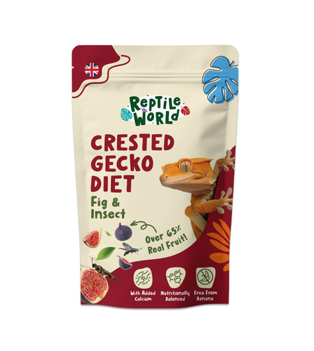 Reptile world crested gecko - reptile,