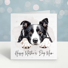 Border Collie Dog  Card -