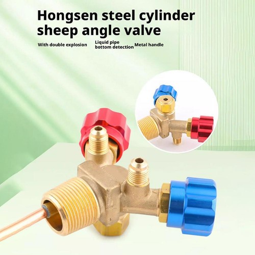Special cylinder valve - special, for