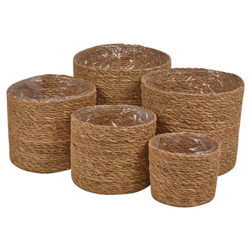 Pcs set woven seagrass plant - seagrass,
