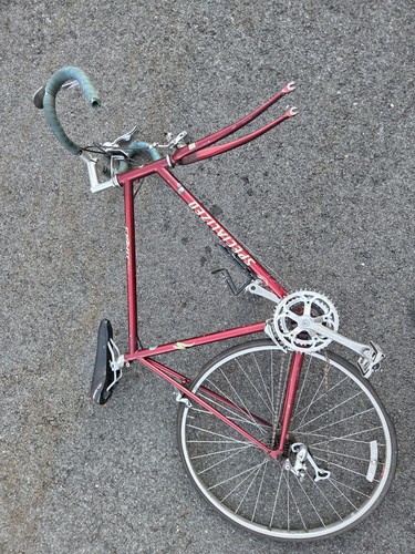 Vintage maroon specialized - vintage,