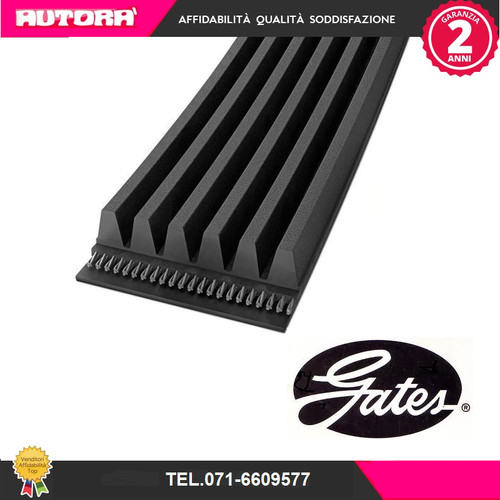 5pk1230 poly belt - poly-v,