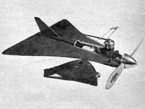 All wing wonder control - wing, line