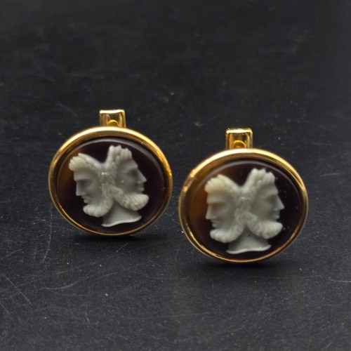Faux tortoise shell janus - tortoise,