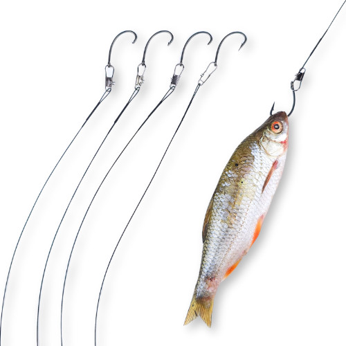 Zander dead bait - dead, x