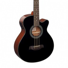 Brunswick Electro-Acoustic