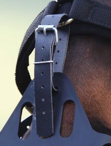 Greenguard grazing muzzle - greenguard,