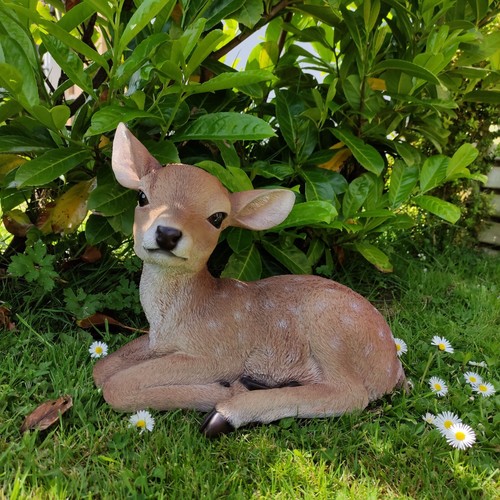 Vivid arts real life fallow - real,
