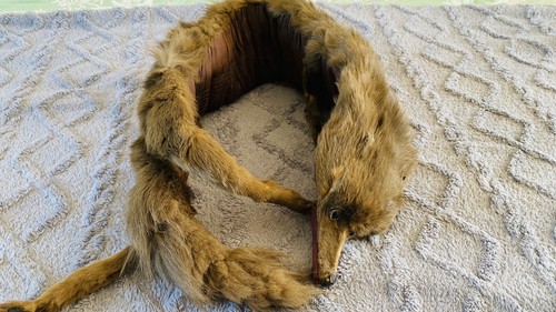 Vintage brown fox real fur - fox,