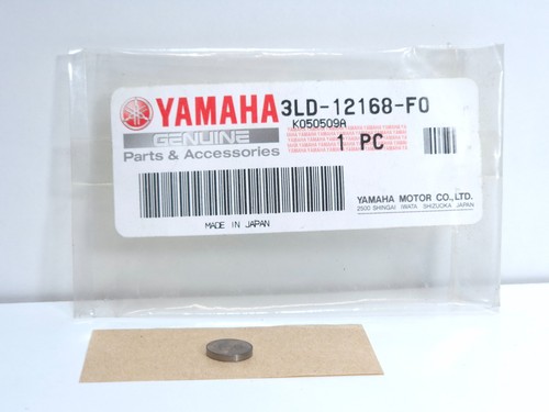Yamaha tdm trx - ttr, yp