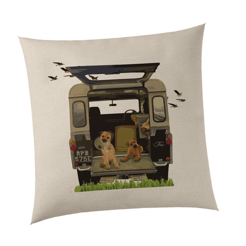 Border terrier dog - terrier, cushion