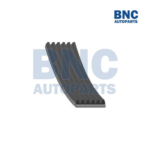 Ribbed drive belt fits - drive,