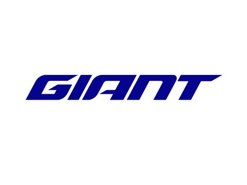 Vinyl giant mtb cycling bike - vinyl,