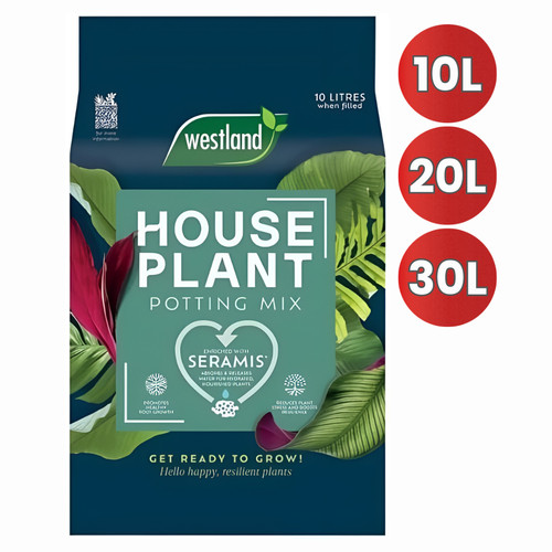 Houseplant potting mix - houseplant,