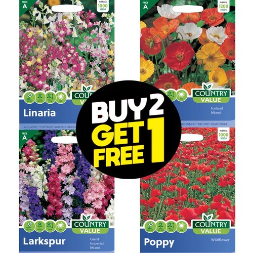 Flower seeds sweet pea - seeds,