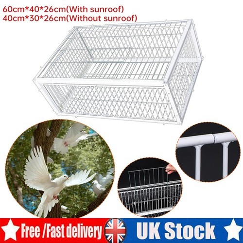 Pigeon trap cage single way - pigeon,
