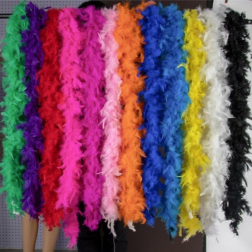 Feather boa costume - feather,