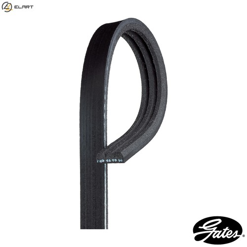 Vribbed belt 3pk628sf - vribbed,