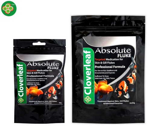 Cloverleaf absolute fluke - absolute,