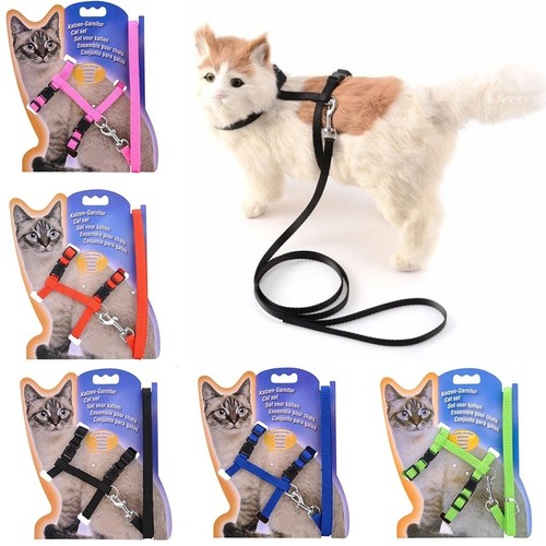 Cats ferrets pets - cats, adjustable