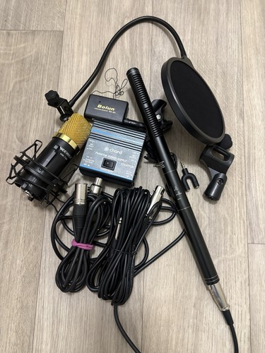 Studio recording microphone - studio,