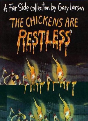 The chickens are restless - chickens, restless: