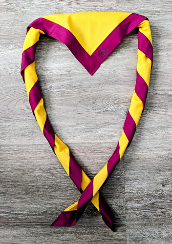 Scout youth necker scarf - scout,