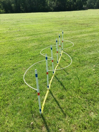 Dog agility equipment six - equipment,